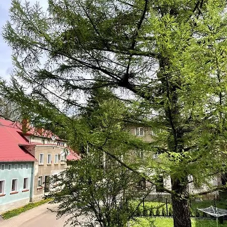Pod Modrzewiem Sokolowsko Zewnętrze zdjęcie